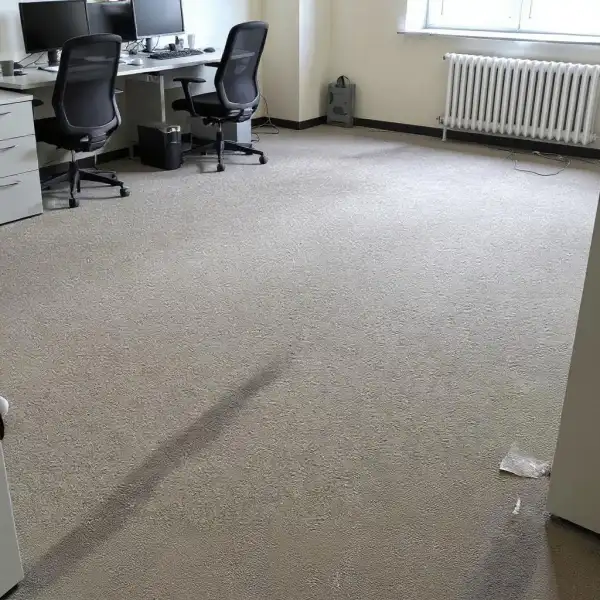 Глубокая чистка ковролина в офисе - до уборки